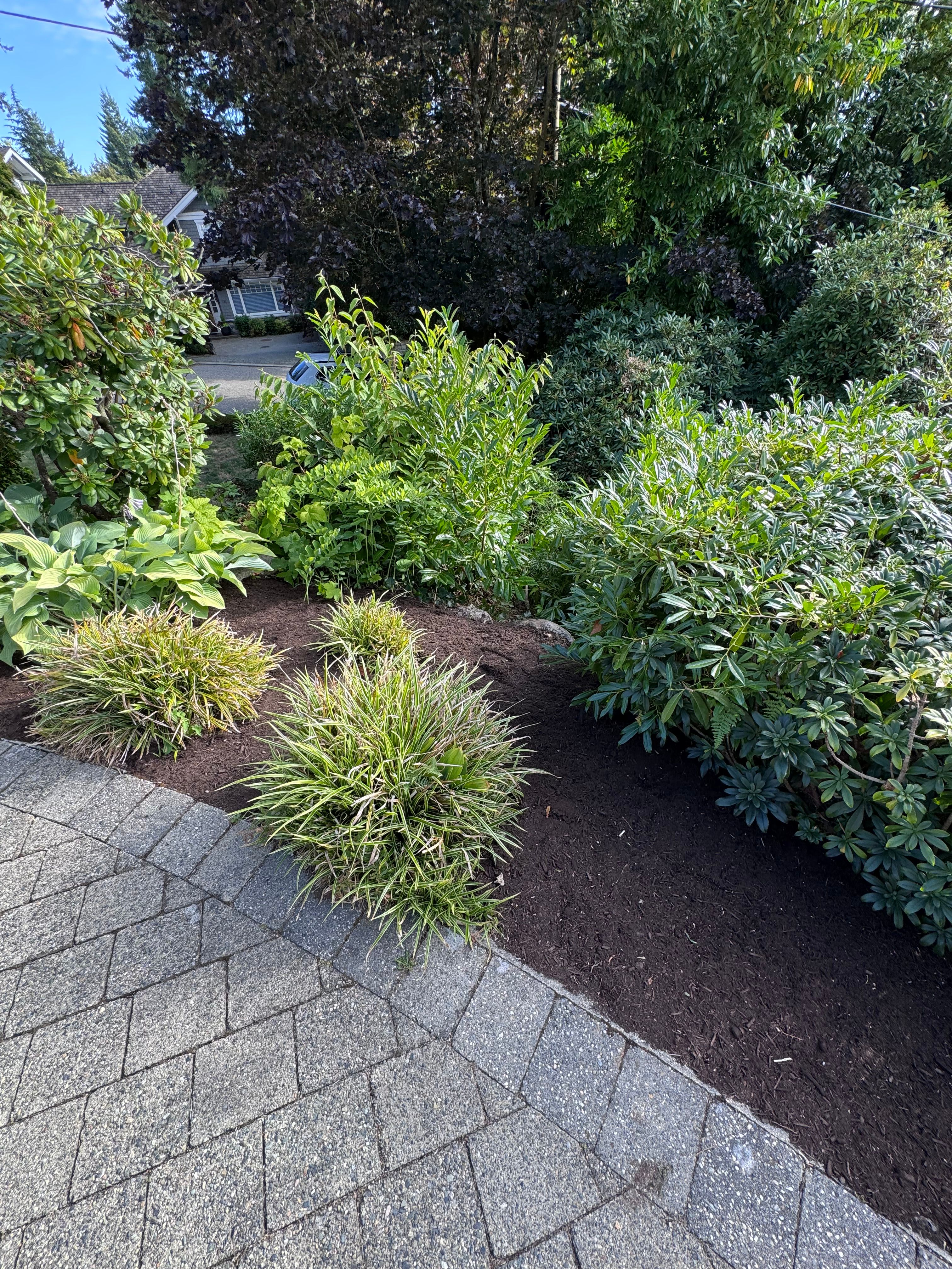 Spread Mulch