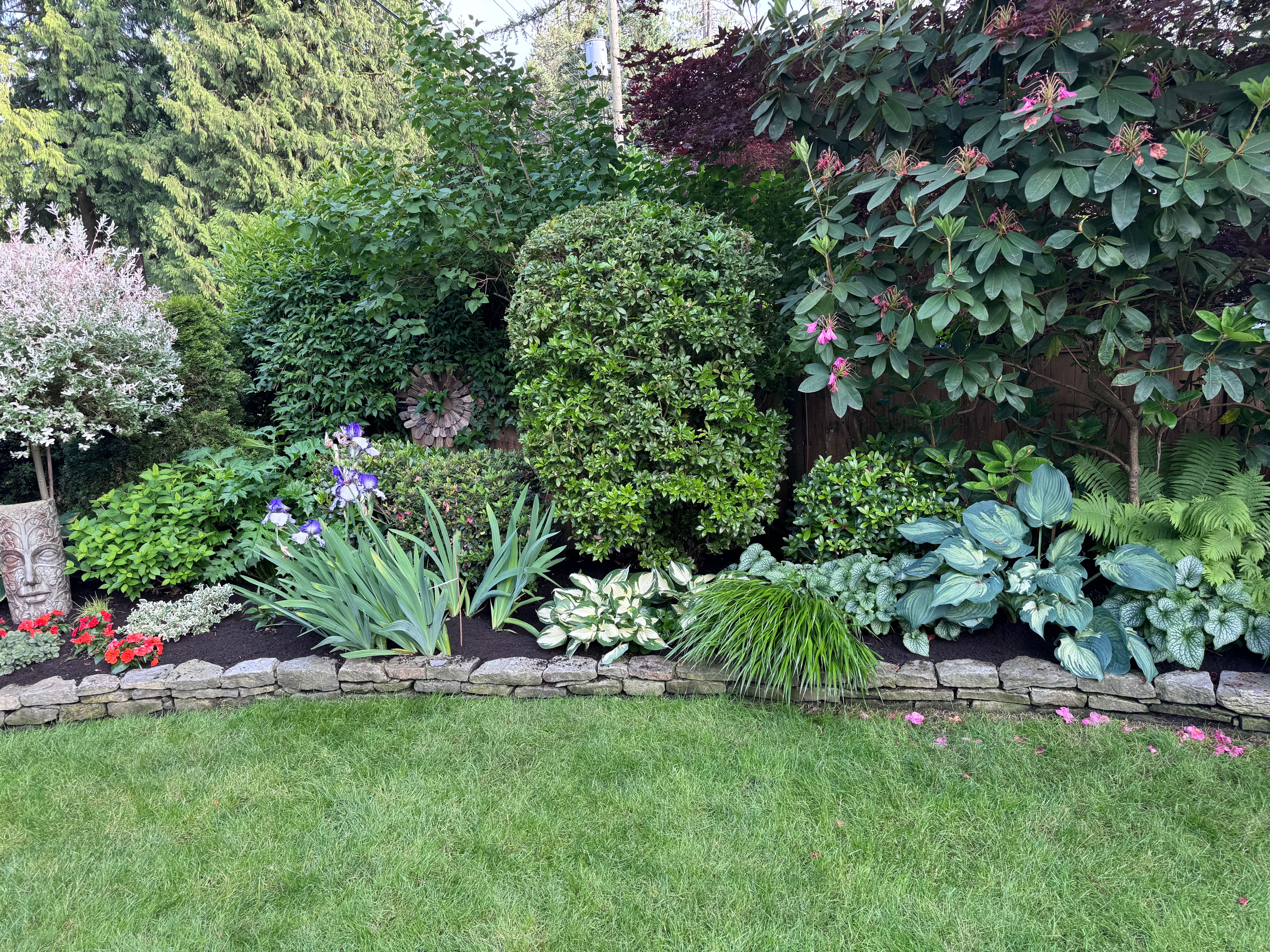 Fresh soil laid